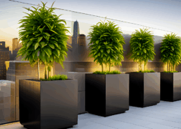 Commercial Spaces -Option 1