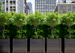 Commercial Spaces -Option 12