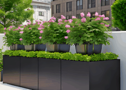 Commercial Spaces -Option 13