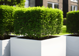 Commercial Spaces -Option 3