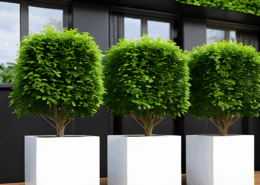 Commercial Spaces -Option 4