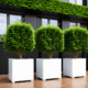 Commercial Spaces -Option 4