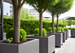 Commercial Spaces -Option 6