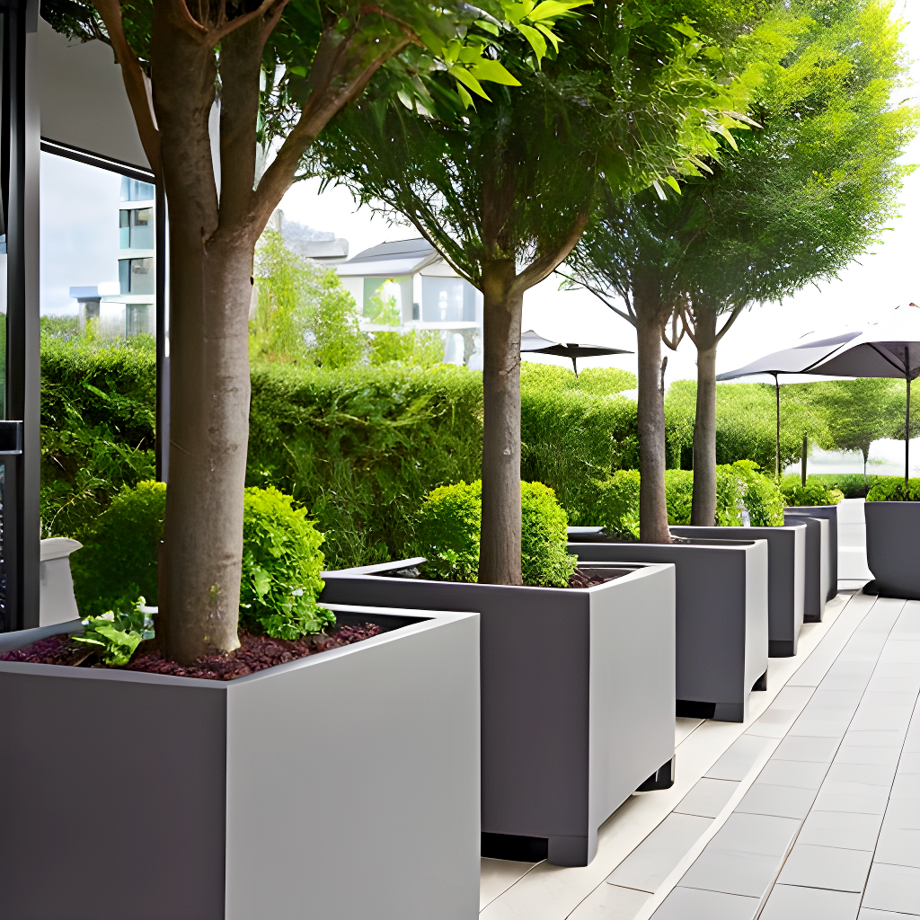 Commercial Spaces -Option 6