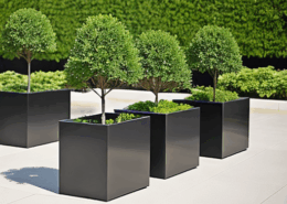 Commercial Spaces -Option 8