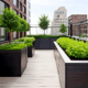 Terrace Gardens -Option 1