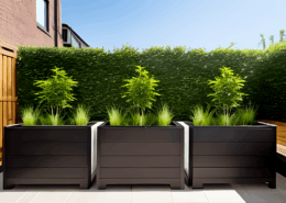 Terrace Gardens -Option 5