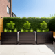 Terrace Gardens -Option 5