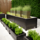 Terrace Gardens -Option 6