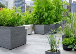 Terrace Gardens -Option 7