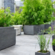 Terrace Gardens -Option 7