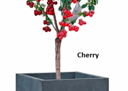 Tree Planters -Option 3
