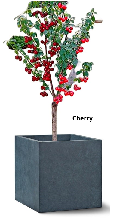 Tree Planters -Option 3