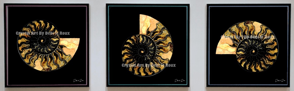 Ammonite-Black- Plexi-Black-Peach