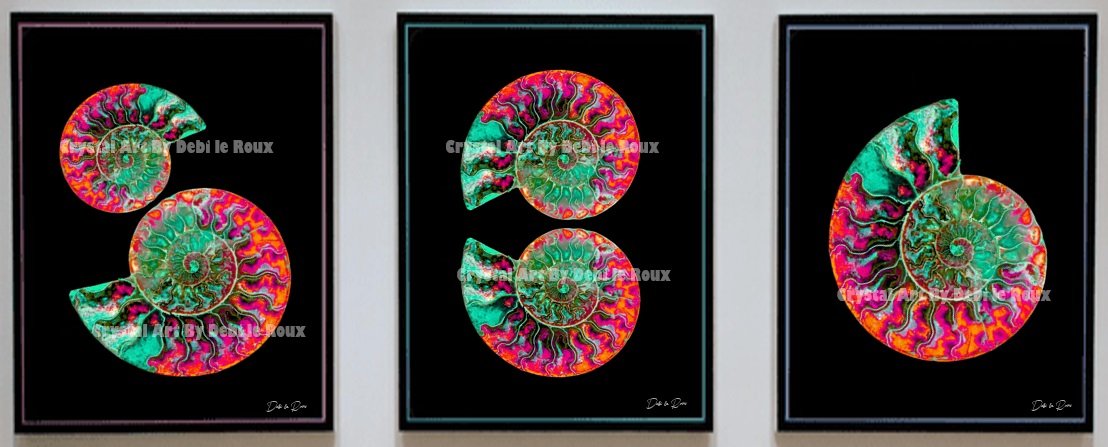 Ammonite-Black- Plexi-Green-Pink-Orange-portrait