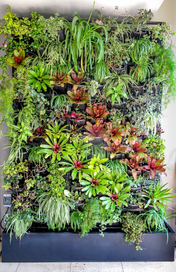 Balcony vertical garden Balcony vertical garden